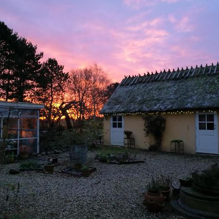 Bella Bed And Breakfast Stevns Arnoje ภายนอก รูปภาพ