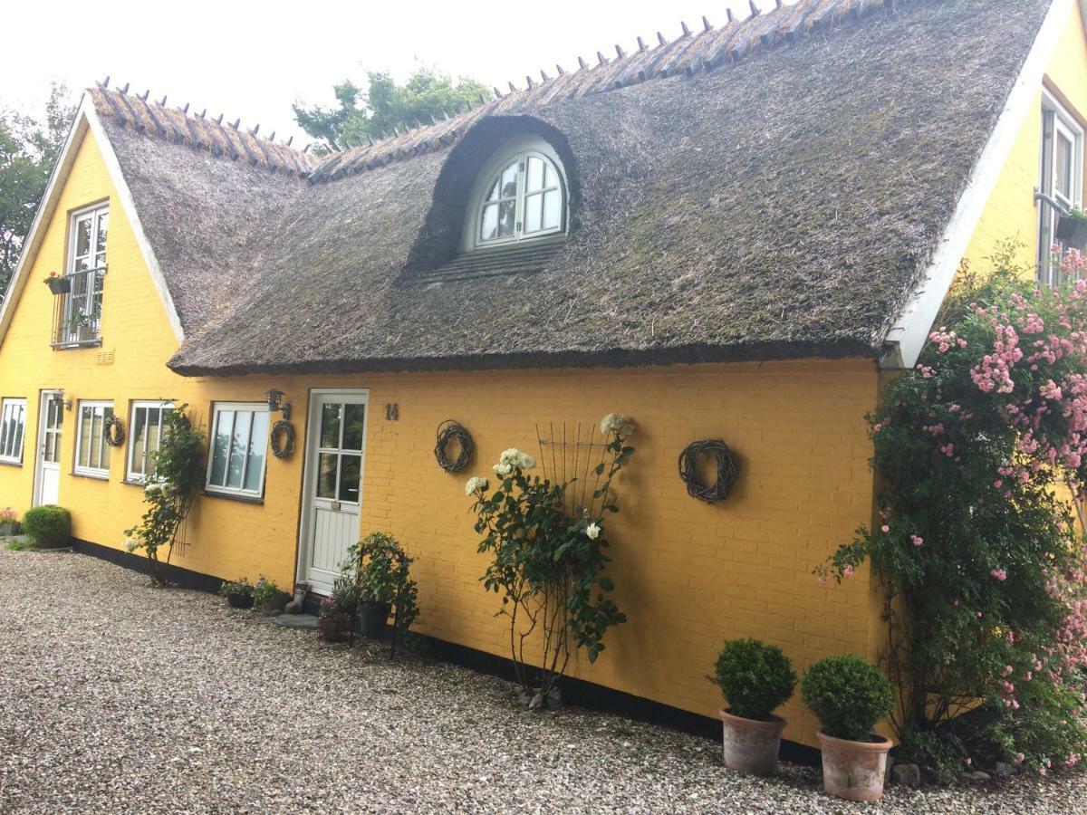 Bella Bed And Breakfast Stevns Arnoje ภายนอก รูปภาพ